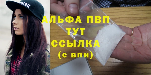 гидра Богданович