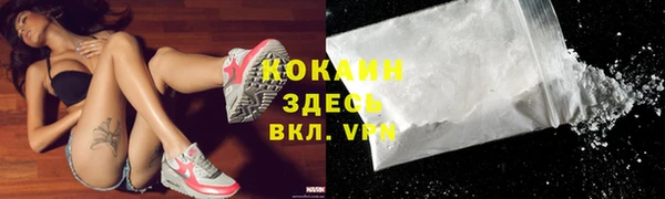 гидра Богданович
