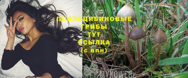 кокаин перу Богородск