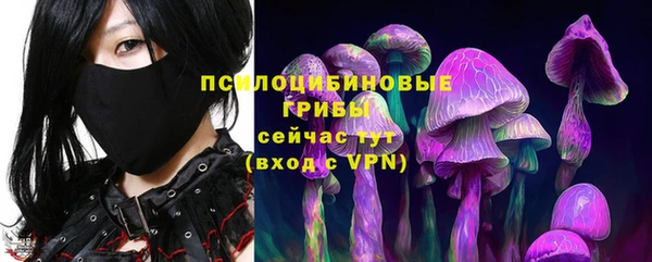 MDMA Белокуриха